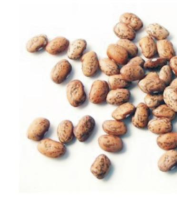 Pinto Beans Dry 5kg